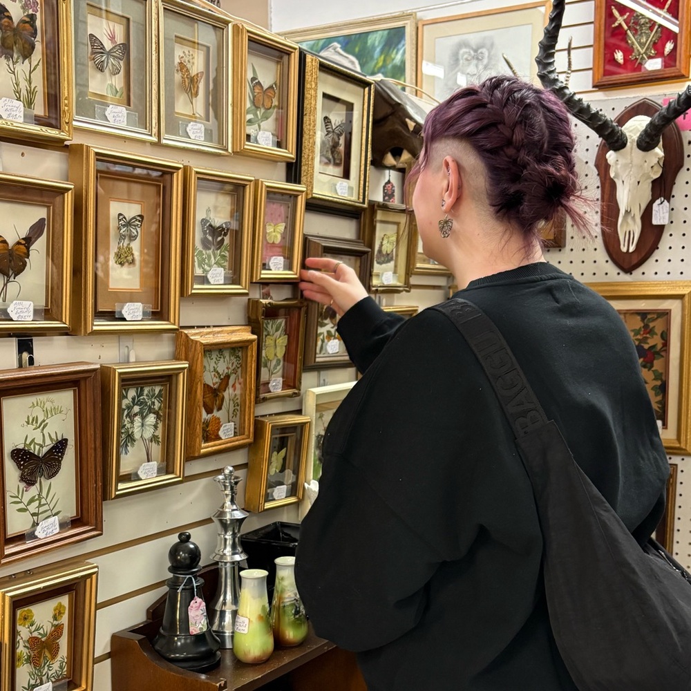 Meet your Posher, Sadie